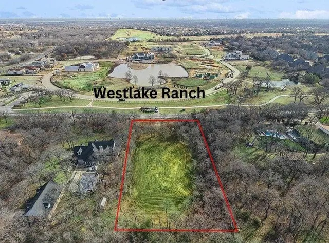 a view of a area with lots of trees