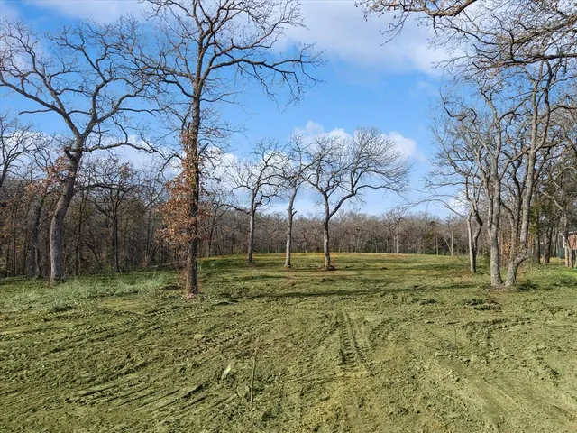 a view of outdoor space with trees