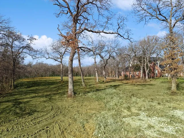 a backyard of a house with lots of green space