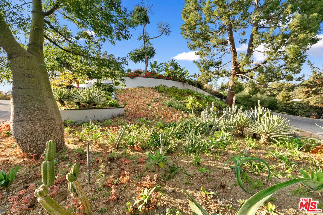 1820 Braemar Road Pasadena, CA 91103 - Photo 5 of 75 a view of a garden with plants