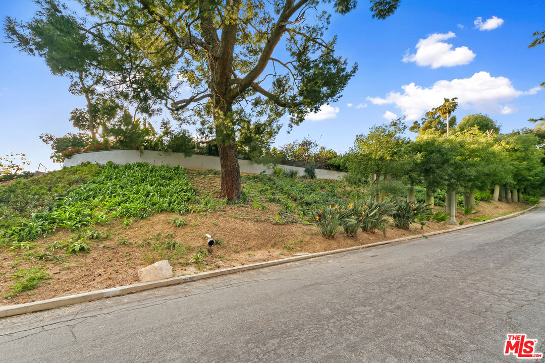 1820 Braemar Road Pasadena, CA 91103 - Photo 6 of 75 a view of a yard with a tree
