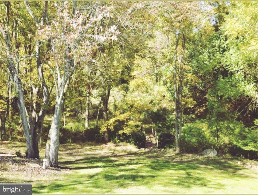6028 Goshen Road Newtown Square, PA 19073 - Photo 29 of 32 Backyard