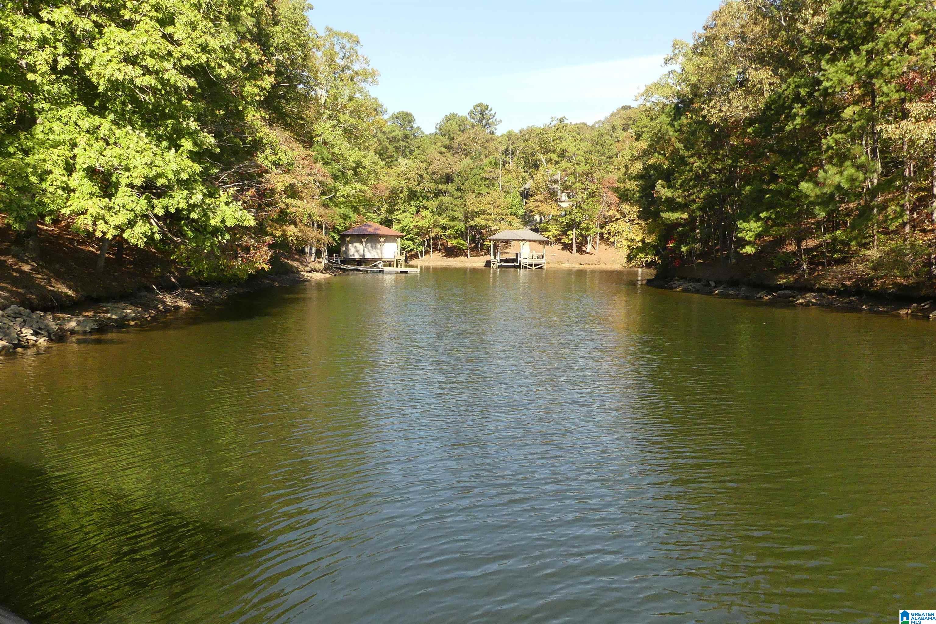 Lot 106 River Birch Road, Unit 106 Heflin, AL 36264 - Photo 3 of 8