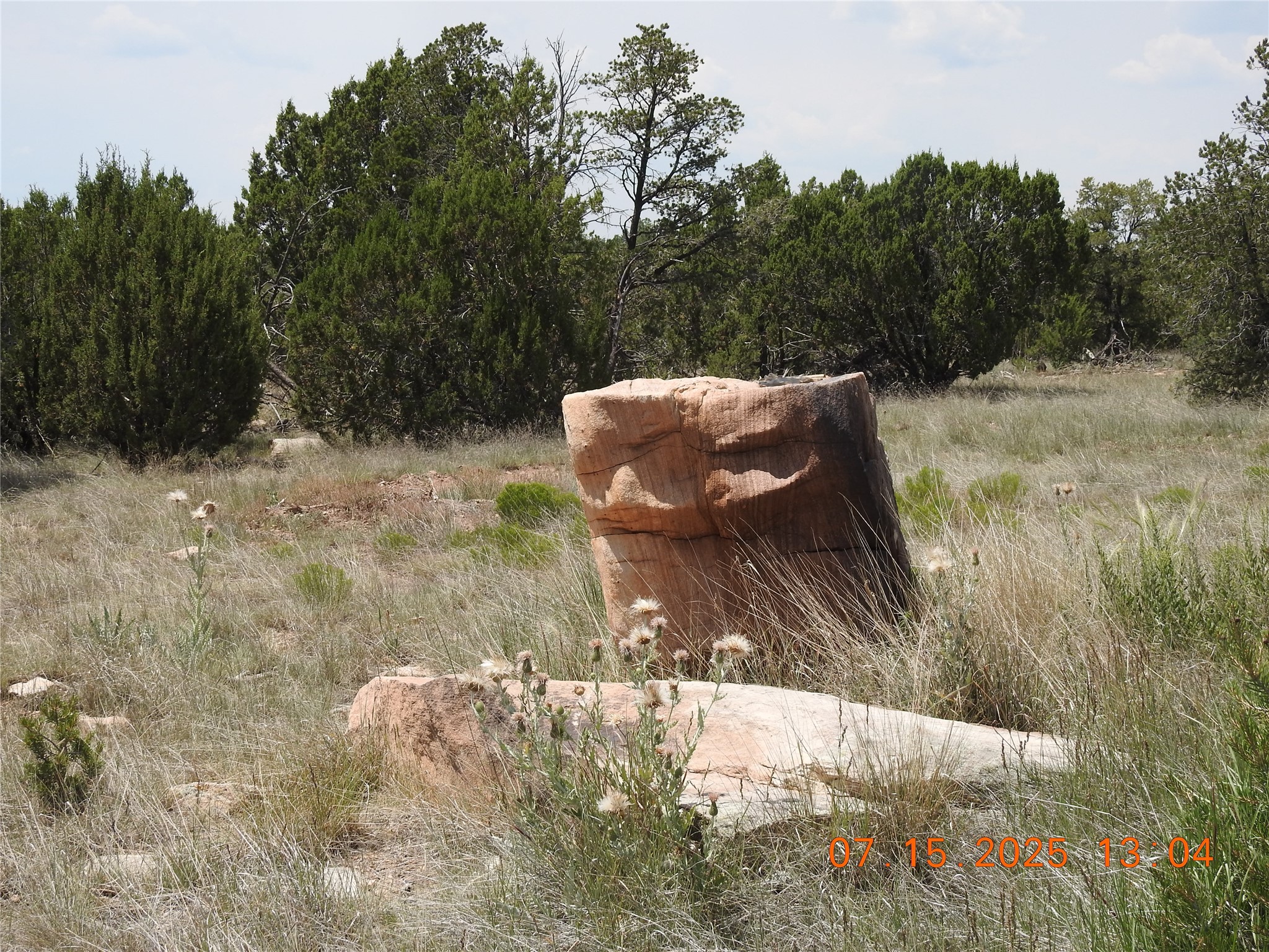 139 Apache Mesa Road Las Vegas, NM 87701 - Photo 17 of 23