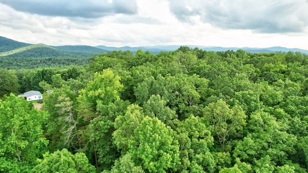 17.67-ac Rainbow Ridge Road Ellijay, GA 30536 - Photo 16 of 42 Gallery Image 16