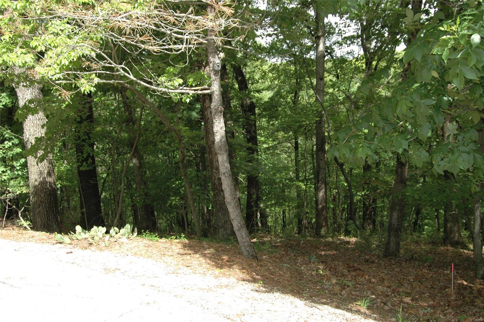 1515 Hawk Forest Road Wildwood, MO 63021 - Photo 3 of 16 Gallery Image 3