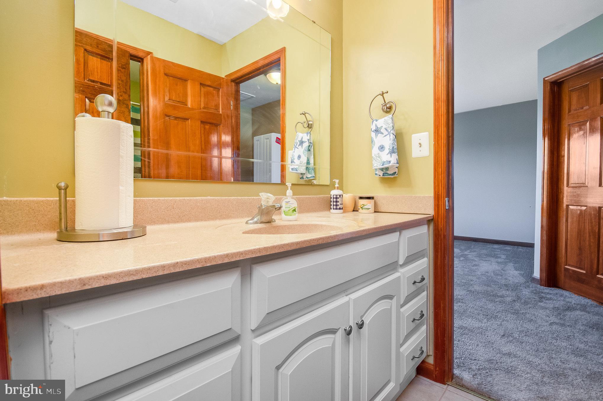 11425 Custers Trace Spotsylvania, VA 22553 - Photo 43 of 60 a bathroom with a sink and a mirror