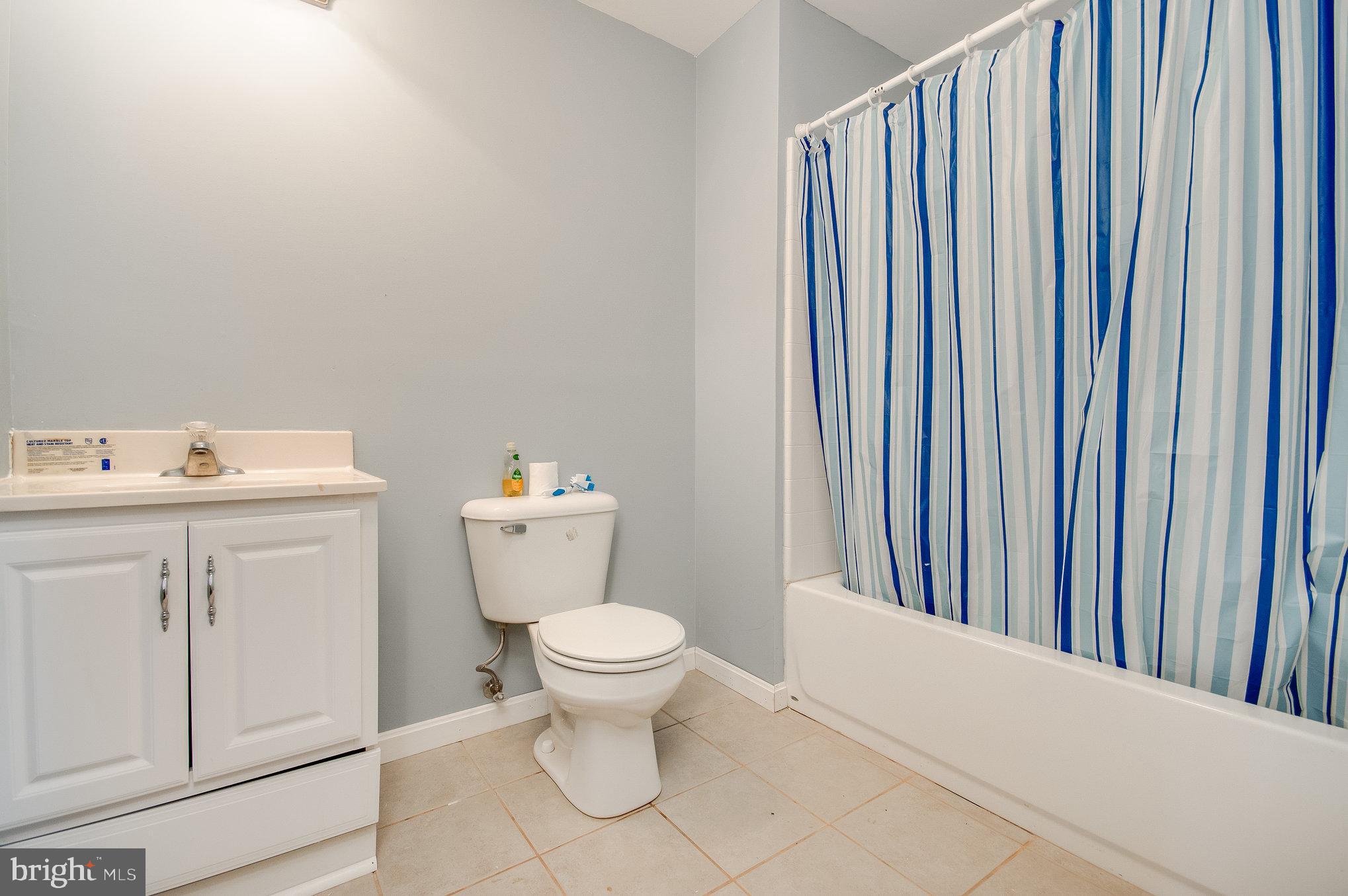 11425 Custers Trace Spotsylvania, VA 22553 - Photo 50 of 60 a bathroom with a sink a toilet and shower curtain