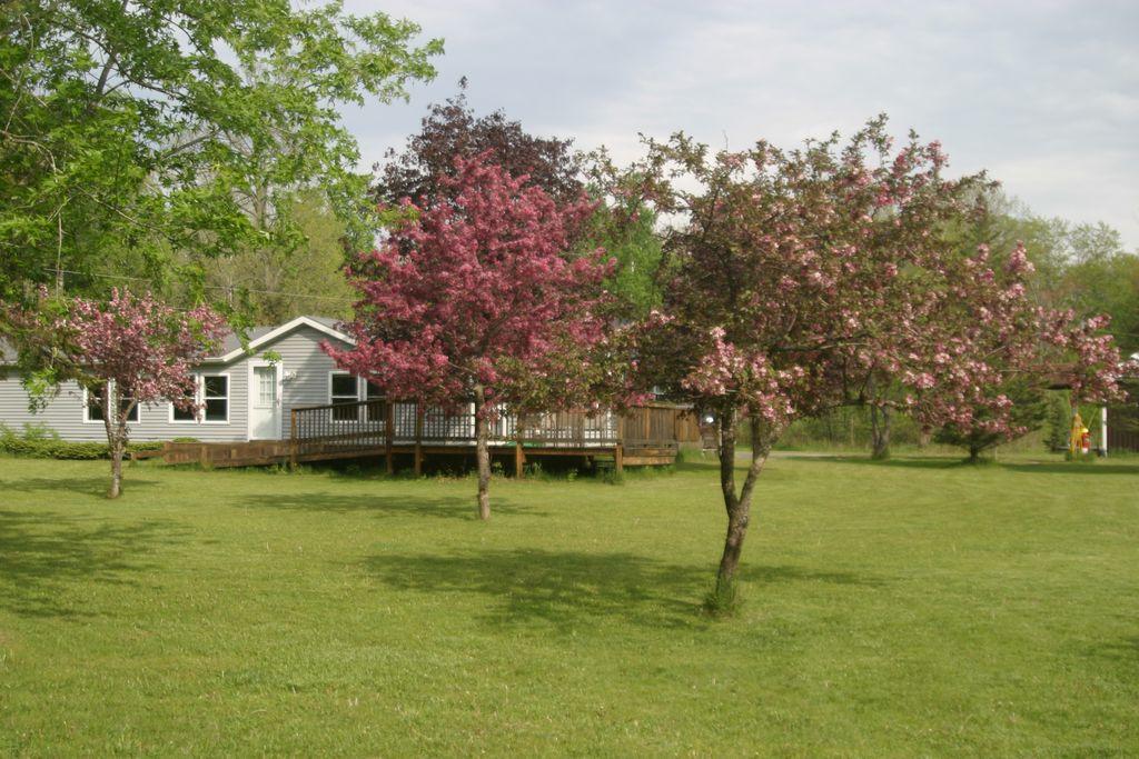 16480 Jakes Road Lachine, MI 49753 - Photo 2 of 26 Gallery Image 2