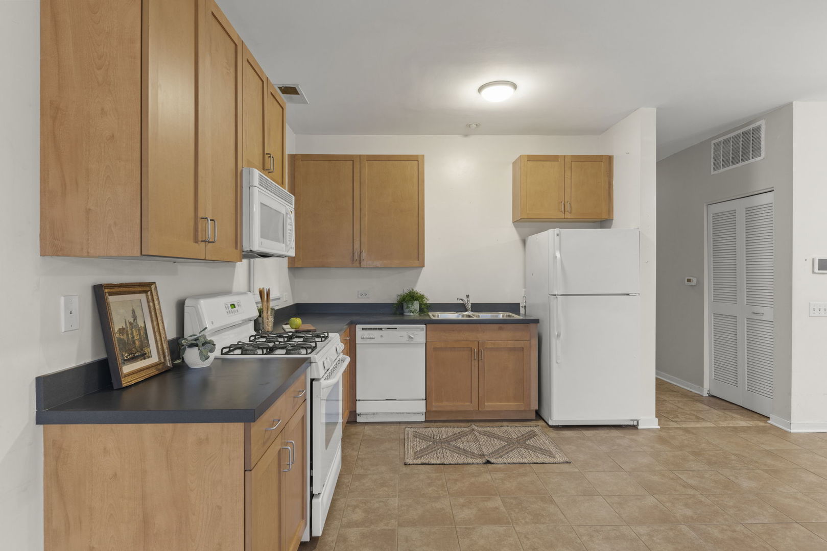 915 South Lytle Street, Unit 102 Chicago, IL 60607 - Photo 9 of 17 Gallery Image 9