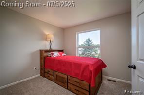 3133 Stillriver Drive Howell, MI 48843 - Photo 21 of 46