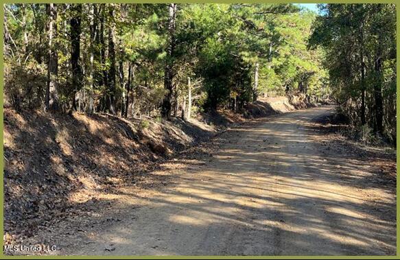 Lower Milligan Springs Road Kilmichael, MS 39747 - Photo 1 of 8 179Montgomery