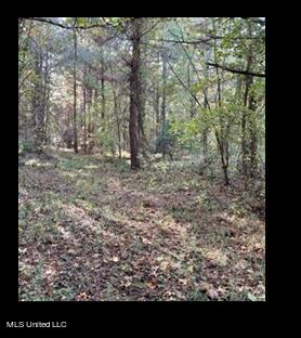 Lower Milligan Springs Road Kilmichael, MS 39747 - Photo 6 of 8 Picture6