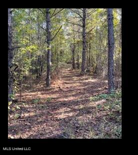 Lower Milligan Springs Road Kilmichael, MS 39747 - Photo 7 of 8 Picture7
