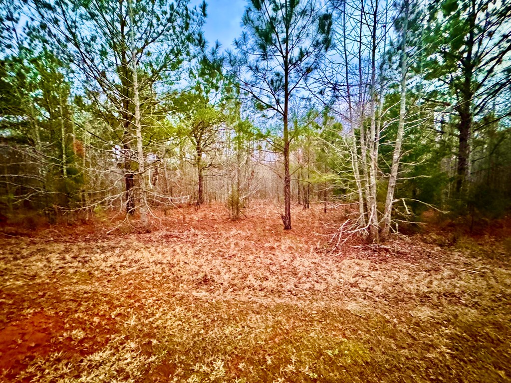 517 Terrapin Pointe Road Hodges, SC 29653 - Photo 2 of 29