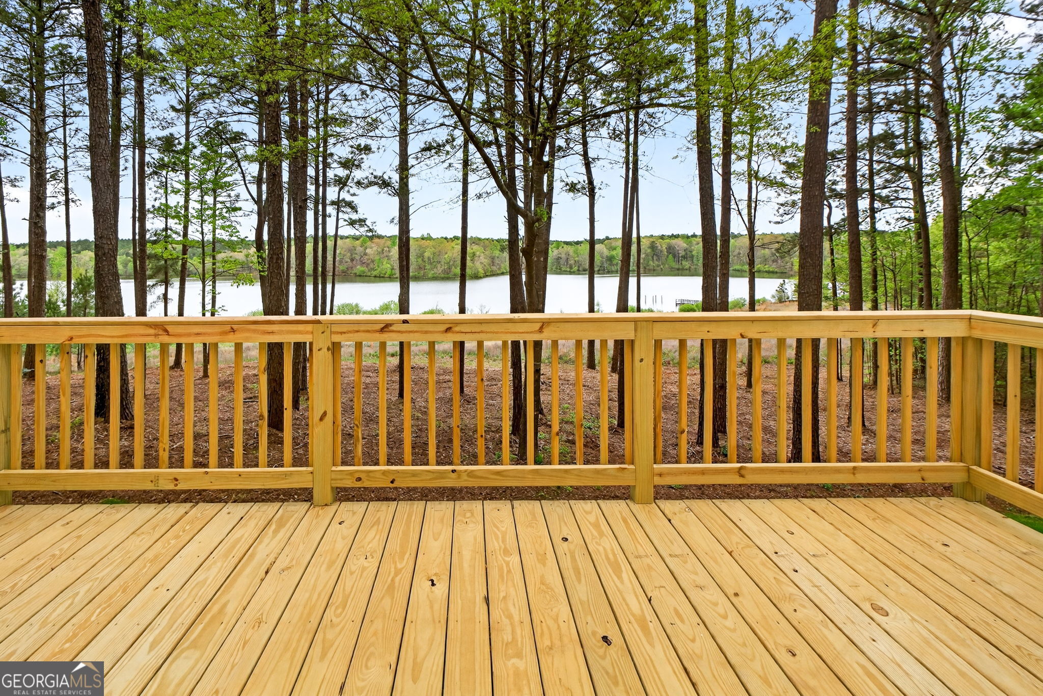 3181 Peeksville Road Locust Grove, GA 30248 - Photo 3 of 47