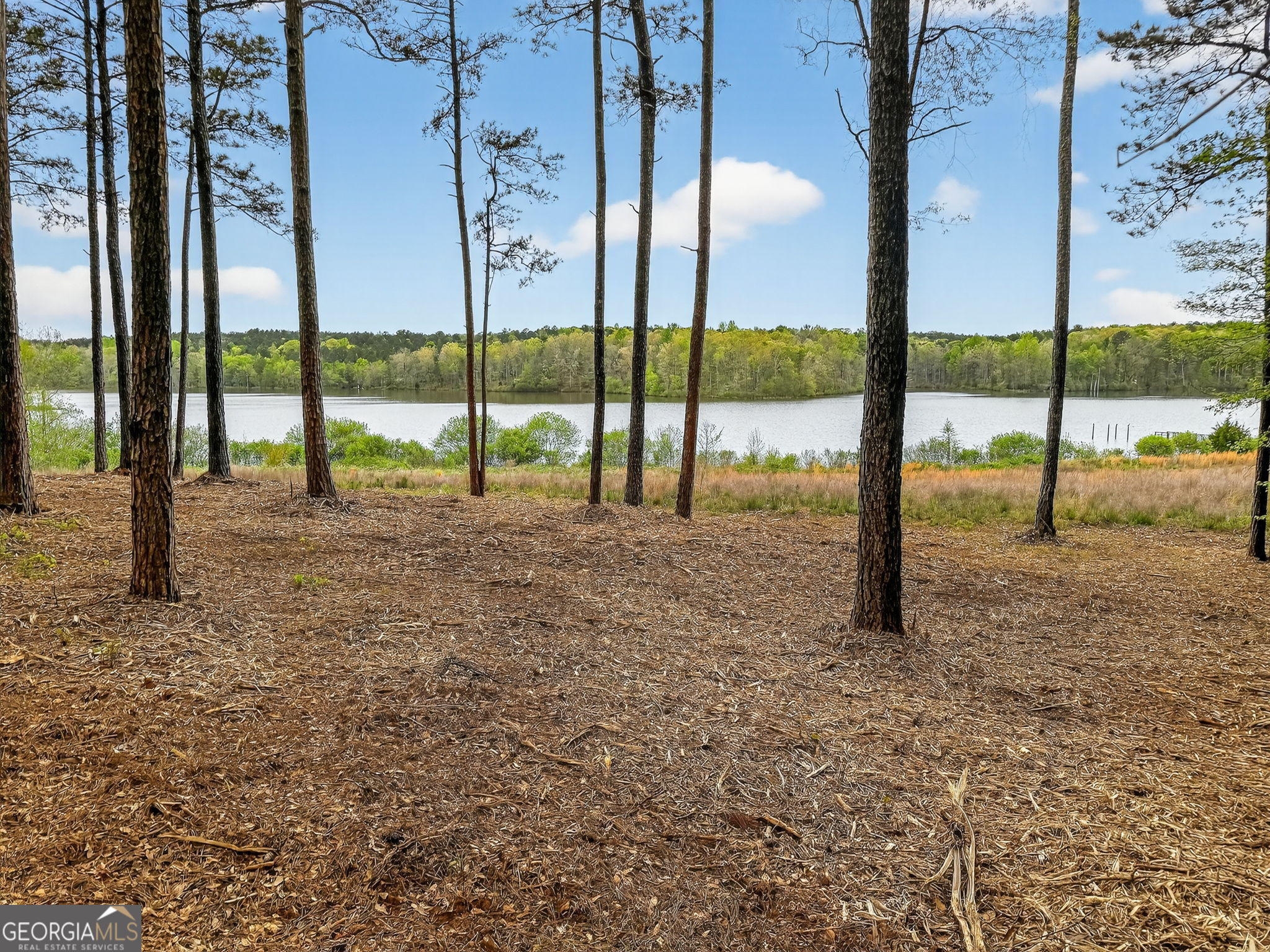 3181 Peeksville Road Locust Grove, GA 30248 - Photo 5 of 47