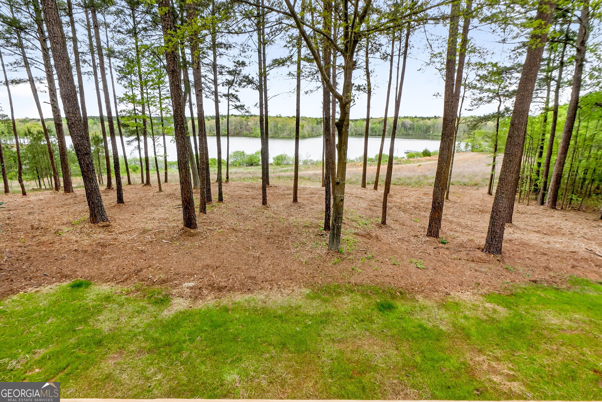 3181 Peeksville Road Locust Grove, GA 30248 - Photo 6 of 47