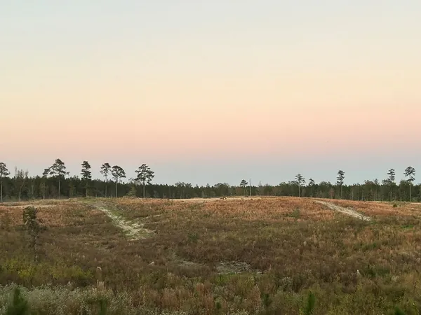 $95,285 | Undisclosed Address, Monticello, MS 39654