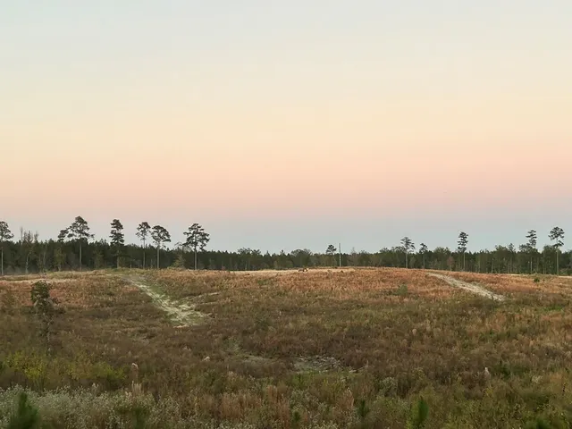 $112,300 | Undisclosed Address, Monticello, MS 39654