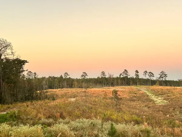 $95,285 | Undisclosed Address, Monticello, MS 39654