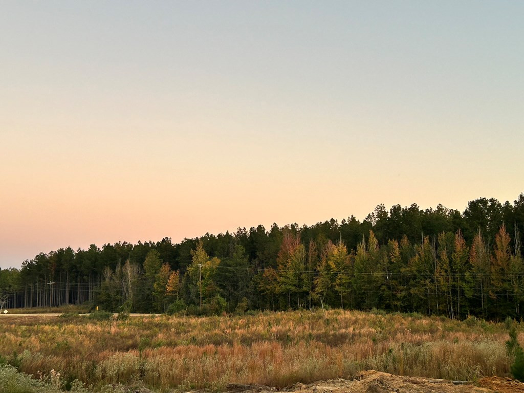 Undisclosed Address Monticello, MS 39654 - Photo 13 of 22 Photo 13