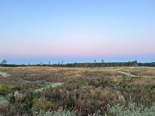 $112,300 | Undisclosed Address, Monticello, MS 39654