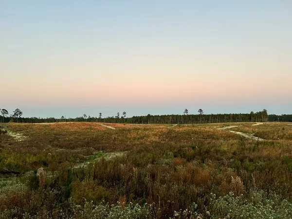 $95,285 | Undisclosed Address, Monticello, MS 39654