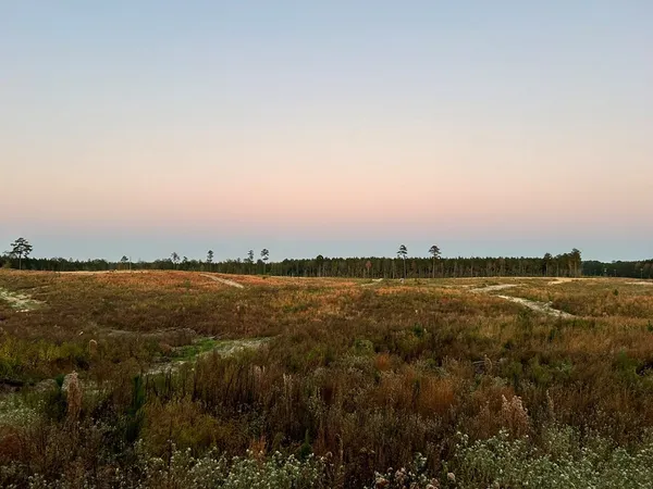 $95,285 | Undisclosed Address, Monticello, MS 39654