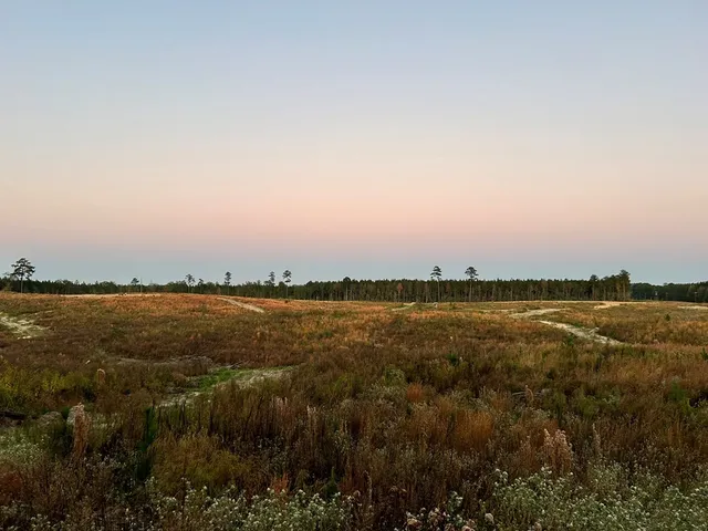 $112,300 | Undisclosed Address, Monticello, MS 39654