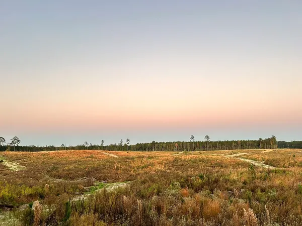 $95,285 | Undisclosed Address, Monticello, MS 39654