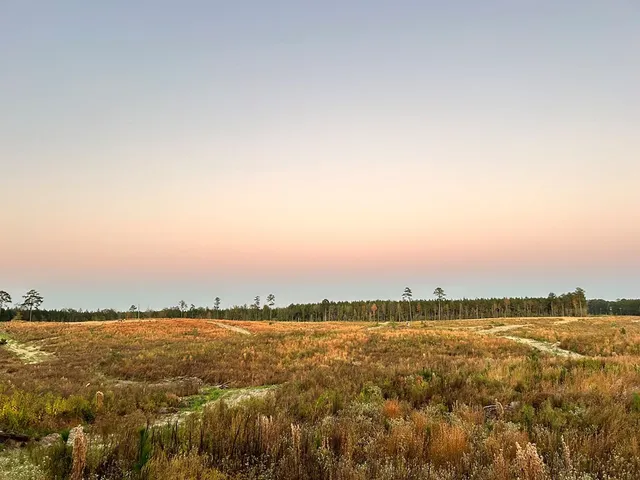 $112,300 | Undisclosed Address, Monticello, MS 39654