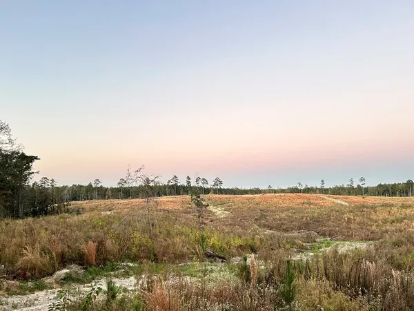 $95,285 | Undisclosed Address, Monticello, MS 39654