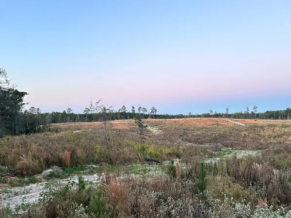 $95,285 | Undisclosed Address, Monticello, MS 39654