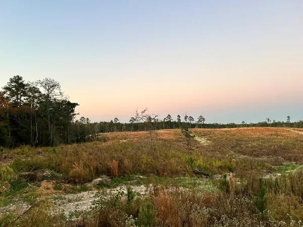 $95,285 | Undisclosed Address, Monticello, MS 39654