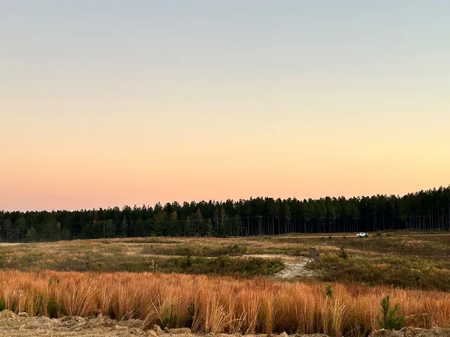 $112,300 | Undisclosed Address, Monticello, MS 39654