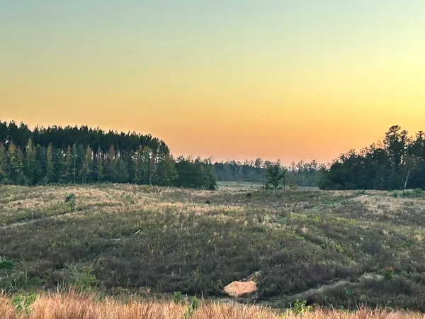 $95,285 | Undisclosed Address, Monticello, MS 39654