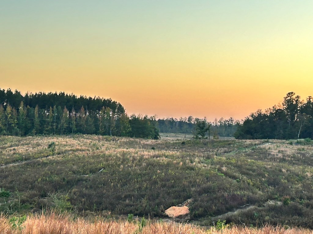 Undisclosed Address Monticello, MS 39654 - Photo 6 of 22 Photo 6