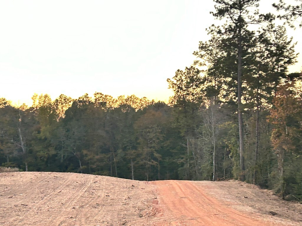 Undisclosed Address Monticello, MS 39654 - Photo 7 of 22 Photo 7