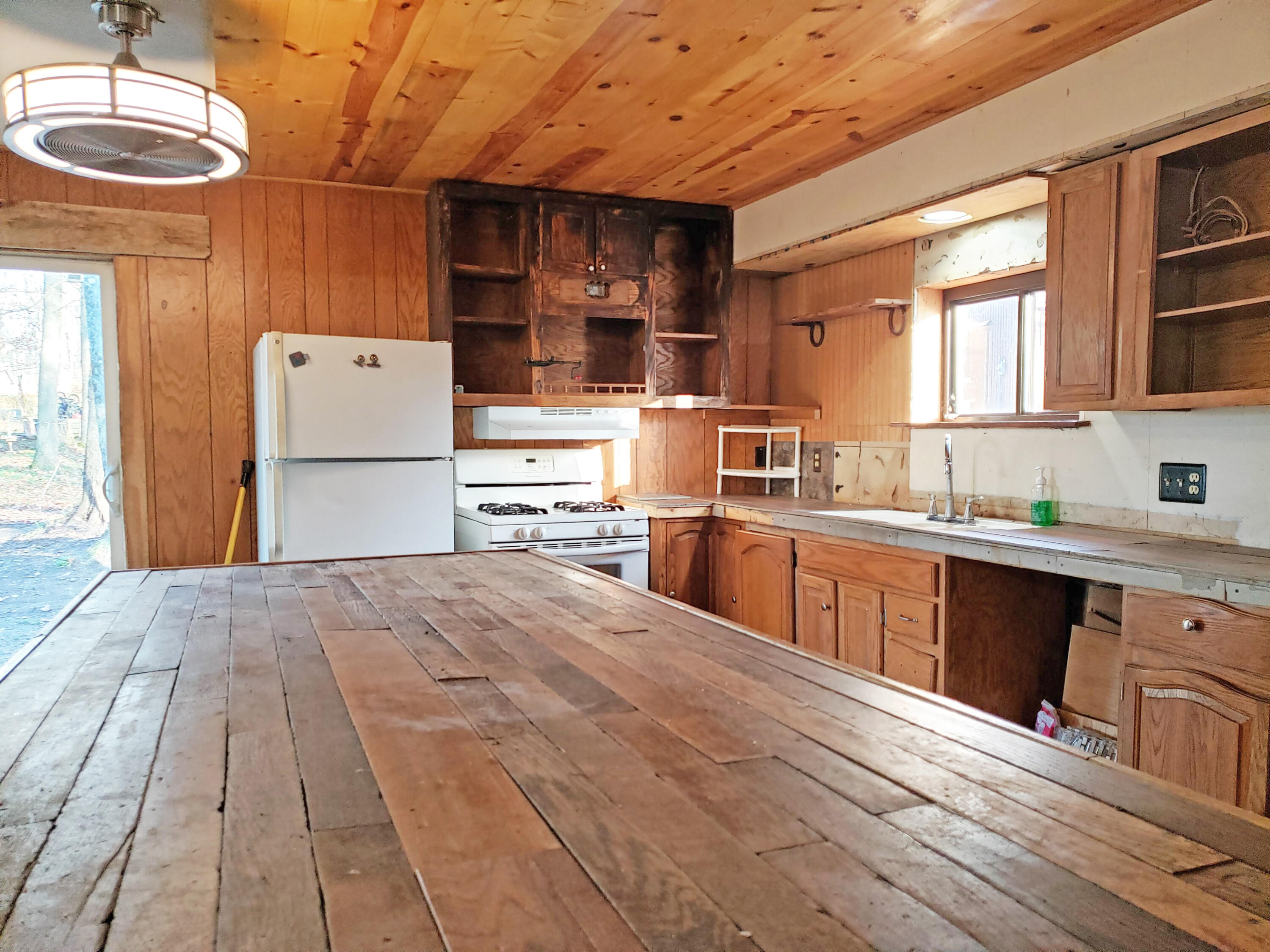 234 East Roosevelt Road Bitely, MI 49309 - Photo 22 of 44 large kitchen