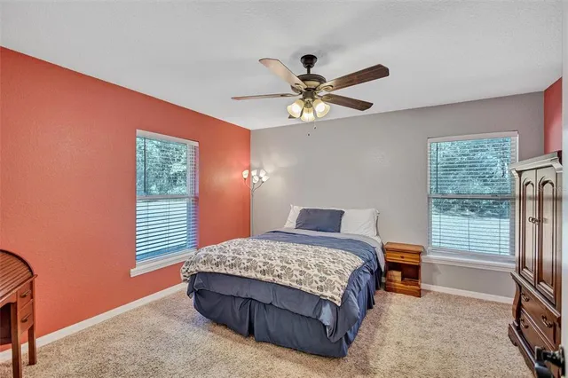 a view of dirt yard with a large tree