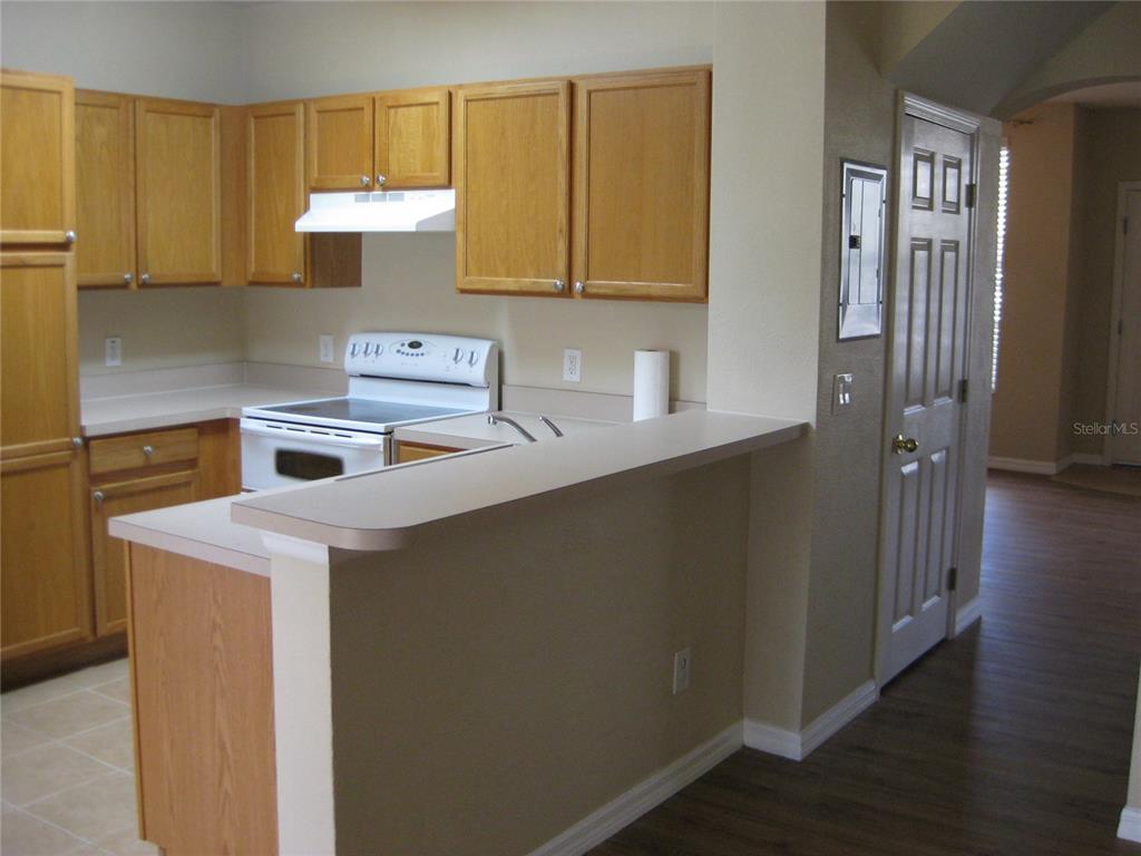 3336 Santa Rita Lane Land O Lakes, FL 34639 - Photo 46 of 60