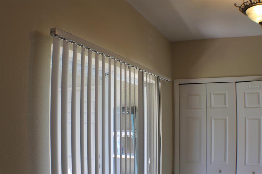 3336 Santa Rita Lane Land O Lakes, FL 34639 - Photo 53 of 60