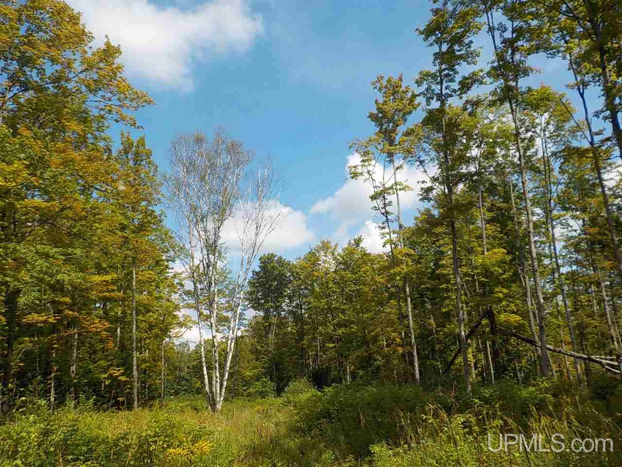 80-ac Mcclaren Road Crystal Falls, MI 49920 - Photo 26 of 27