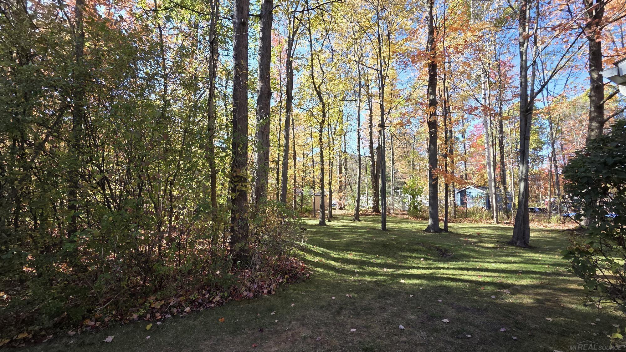 7444 Forest Road Lexington, MI 48450 - Photo 3 of 26 50191630-416c5790-eccd-41e0-ae6c-306192e1cedf.JPG