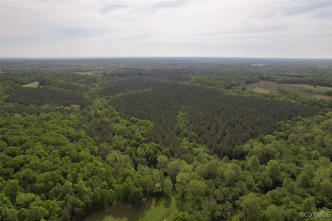 0 Albevanna Spring Road Scottsville, VA 24590 - Photo 13 of 40 Gallery Image 13