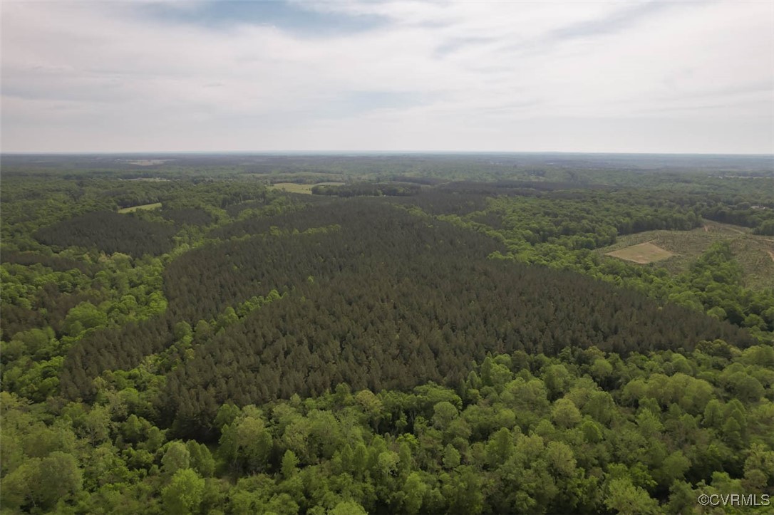 0 Albevanna Spring Road Scottsville, VA 24590 - Photo 14 of 40 Gallery Image 14