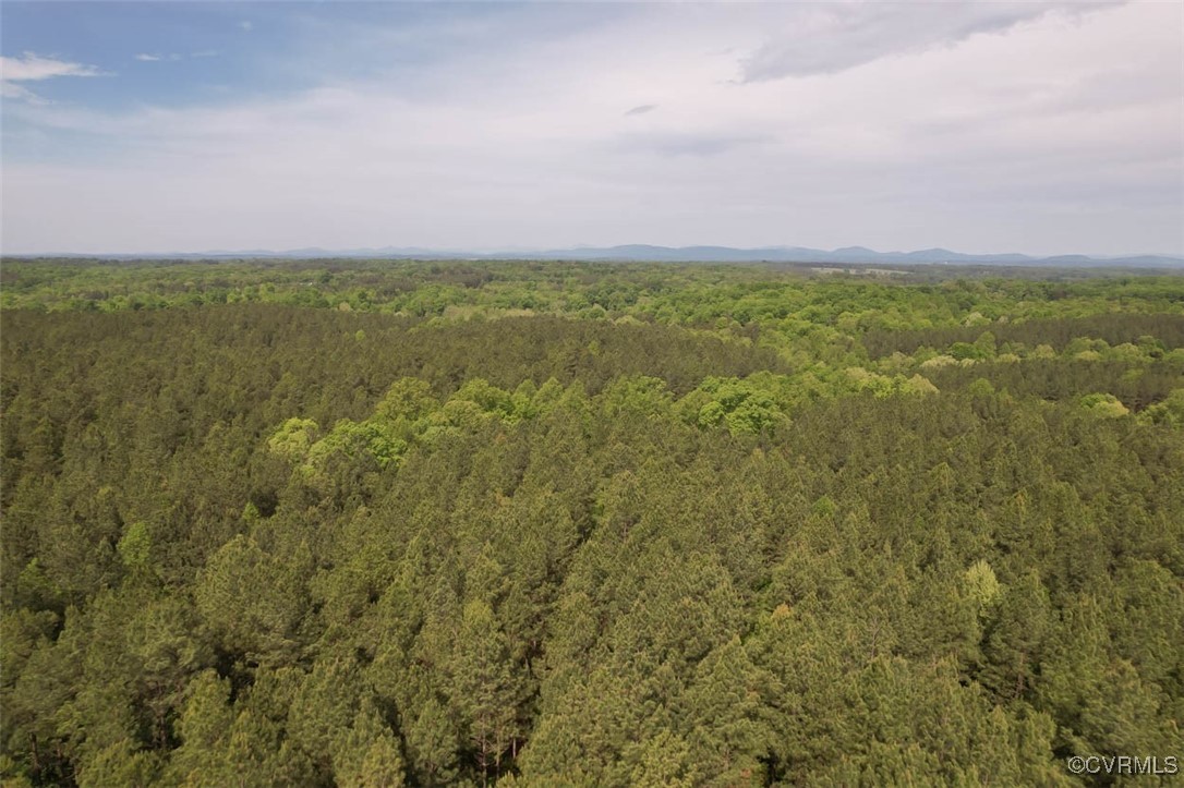 0 Albevanna Spring Road Scottsville, VA 24590 - Photo 23 of 40 Gallery Image 23