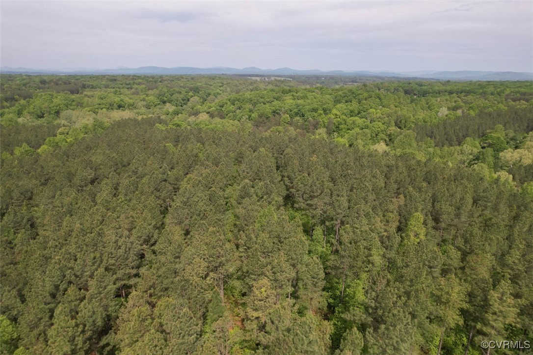 0 Albevanna Spring Road Scottsville, VA 24590 - Photo 25 of 40 Gallery Image 25