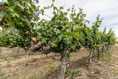 $2,468,888 | 3001 Lusitana Drive, Livermore, CA 94550